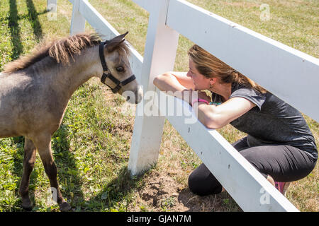 Donna che guarda la sua mini cavallo attraverso una recinzione Foto Stock