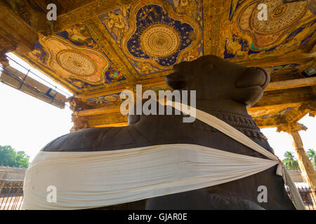 Statua di Pietra della Nandi Bull visto al tempio Brihadishwara Tanjavur Tamilnadu India Asia Foto Stock