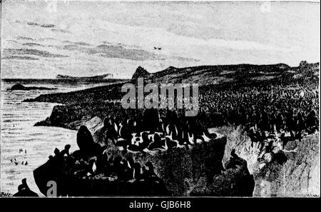 Questo resoconto del 1882, "circumnavigazione dell'Asia e dell'Europa da parte della Vega", include una panoramica storica delle precedenti spedizioni lungo le coste settentrionali del Vecchio mondo, documentando significative esplorazioni marittime. Foto Stock