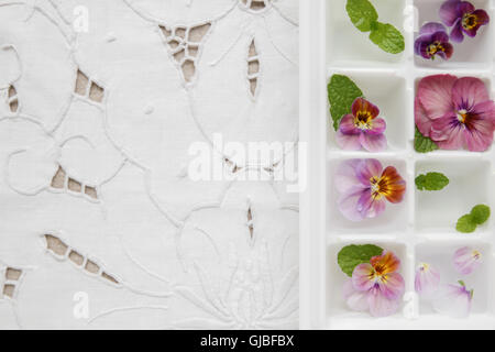 Fiori commestibili e menta in cubetti di ghiaccio il vassoio su bianco vintage sfondo di lino Foto Stock
