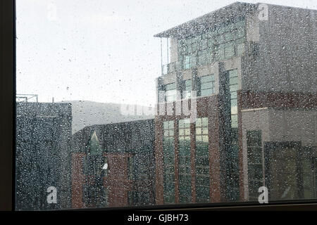 Una grande Victoria Street piovosa e Grand Opera House, Belfast Foto Stock