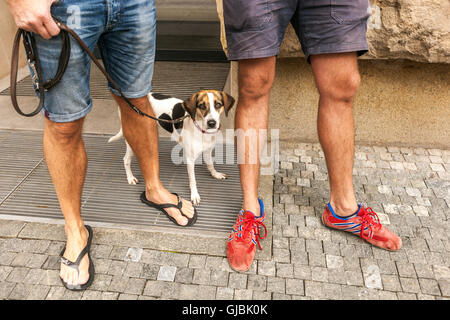 Camminare un cane al guinzaglio in città, sezione bassa due uomini gambe coppia Foto Stock