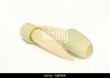 Bambino frutto di mais (noto anche come giovani mais, mini mais, cornlettes, candela mais Zea mays L, Gramineae) raggruppati e isolate su wh Foto Stock