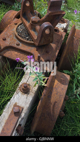 Il mio Carrello Il carrello è la formazione di ruggine lontano ed è stata abbandonata per un periodo di tempo sufficientemente lungo per un fireweed per forzare un fiore attraverso di esso. Foto Stock