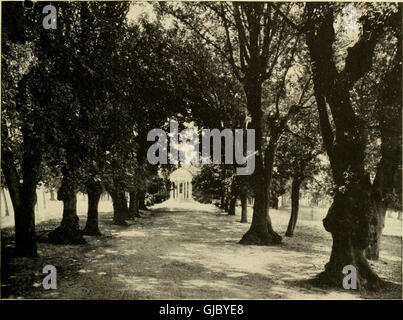 Europei e giardini giapponesi; carte leggere prima dell'American Institute of Architects (1902) Foto Stock