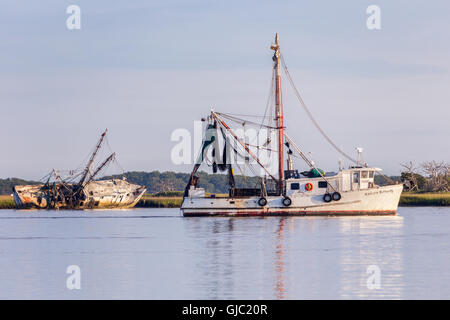 Gamberi di lavoro barca passando da una barca da gamberetti arenati su un letto di ostriche, Fernandina Beach, Florida Foto Stock