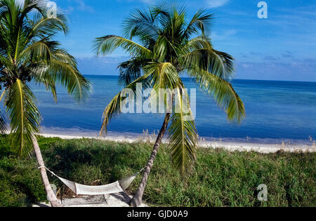 Un tessuto di cotone amaca sospesa tra due curvando palme attrae i turisti a rilassarsi al sole e godersi un giorno pigro e affaccia sulle calme acque turchesi che circonda la Florida Keys in Florida, Stati Uniti d'America. Foto Stock