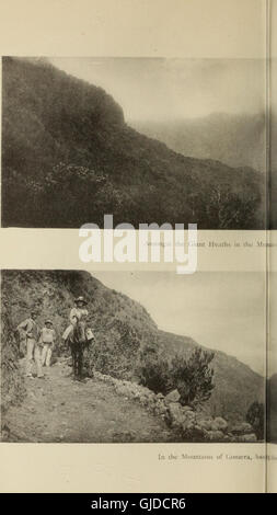 Le isole Canarie - la loro storia e storia naturale e il paesaggio - un account di un ornitologo il campeggio escursioni nell'arcipelago (1922) Foto Stock