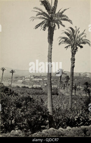 Le isole Canarie - la loro storia e storia naturale e il paesaggio - un account di un ornitologo il campeggio escursioni nell'arcipelago (1922) Foto Stock