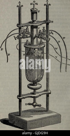 Ufficiale del Philadelphia College of Pharmacy (1834) Foto Stock