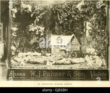 L'edizione 1911 di "The American Florist", una rivista settimanale incentrata sul commercio floreale negli Stati Uniti, che copre le tendenze del settore e le pratiche floriculturali dell'epoca. Foto Stock