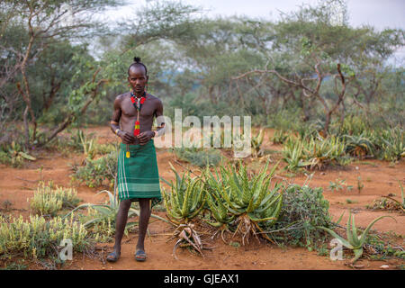 Giovane uomo da Hamer tribù in Etiopia Foto Stock