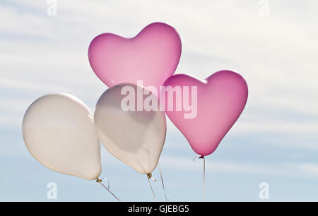 Quattro elio palloncini pieni contro il cielo, due rosa e a forma di cuore ad altri white Foto Stock