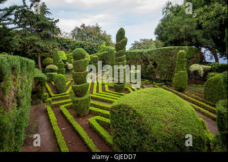 Verde a forma di piante e passi al giardino botanico di Funchal, Madeira Foto Stock