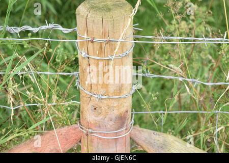 Close-up di un palo di legno avvolto in Filo spinato Foto Stock