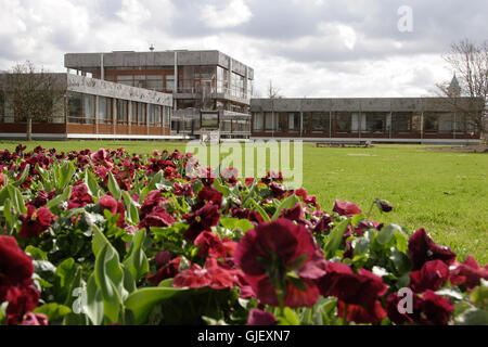 La Corte costituzionale federale di Karlsruhe Foto Stock