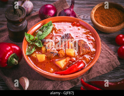 Ciotola di gulasch ungherese e gli ingredienti intorno Foto Stock