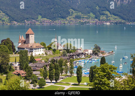 Il castello di Spiez è situato sul lago di Thun nella Berner Oberland nelle Alpi montagne in Svizzera Foto Stock