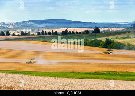 Giallo mietitrebbia harvester, la macchina sul campo la mietitura del frumento in tempo soleggiato, Repubblica ceca, estate scena con linee di paglia con Foto Stock