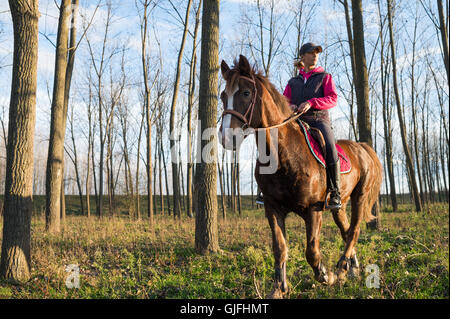 Ragazza in sella ad un cavallo sulla foresta di autunno Foto Stock