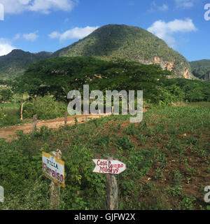 Segni il punto il modo di presentazione in Vinales Valley, Cuba 2016. Foto Stock