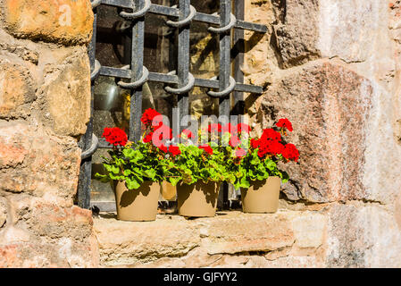 Fiori rossi in vasi da fiori al di fuori di un dungeon finestra con barre di ferro. Foto Stock