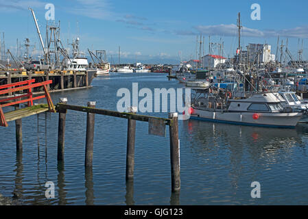 Colorate barche da pesca in attesa in francese creek per l'inizio della molla aringa run, l'isola di Vancouver. SCO 11,153. Foto Stock