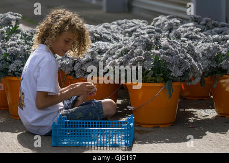 Preparazione di fiori galleggianti per l annuale Battaglia dei Fiori,Jersey,Isole del Canale Foto Stock