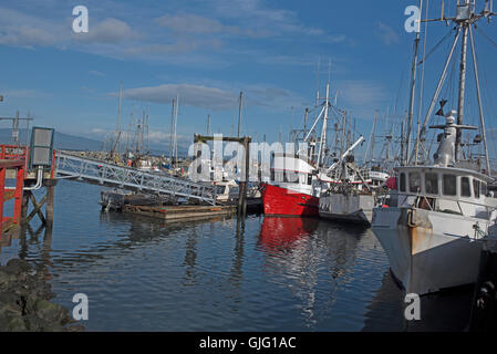 Colorate barche da pesca in attesa in francese creek per l'inizio della molla aringa run, l'isola di Vancouver. SCO 11,164. Foto Stock