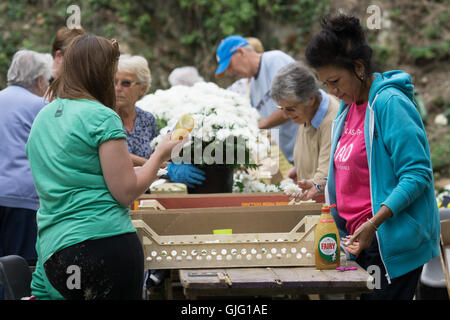 Preparazione di fiori galleggianti per l annuale Battaglia dei Fiori,Jersey,Isole del Canale Foto Stock