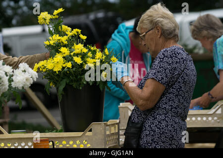 Preparazione di fiori galleggianti per l annuale Battaglia dei Fiori,Jersey,Isole del Canale Foto Stock