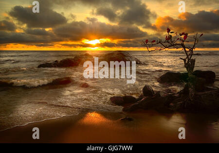 culto del sole Foto Stock