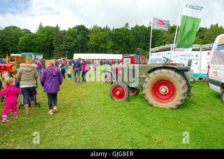 Cartmel Show 2016 Foto Stock