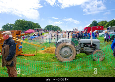 Cartmel Show 2016 Foto Stock