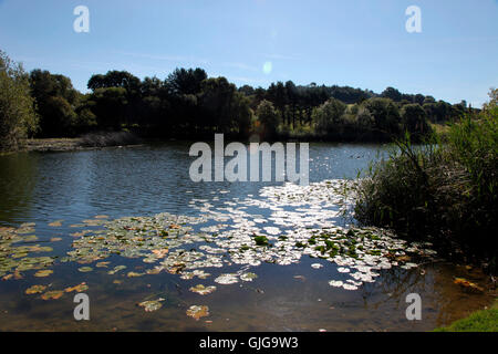 Lough Na Glack, Nuremore Hotel e Country Club, Carrickmacross Foto Stock