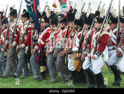 Coldstream reggimento delle guardie del piede sul campo di battaglia di una guerra napoleonica rievocazione storica a Spetchley Park, Worcestershire, Inghilterra Foto Stock