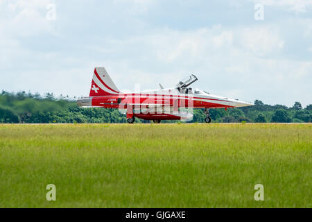 Lo sbarco di jet Northrop F-5E Tiger II. Il team acrobatico della Patrouille Suisse. Foto Stock