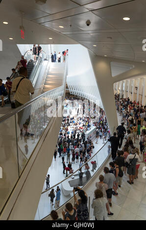 New York, Stati Uniti d'America. 16 Ago, 2016. Migliaia di persone hanno partecipato alla grande apertura del Westfield Shopping Mall in nuova costruzione occhio del World Trade Center a New York. Credito: Elizabeth riattivazione/Alamy Live News. Foto Stock