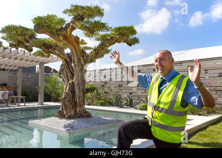 Southport Flower Show, Merseyside, Regno Unito. 17th ago 2016: Una veduta dell'albero d'ulivo. "Una vista dell'Olive Tree" disegnata da Andy Kirman dal Cheshire. Sponsorizzato da 'Berry's Builders Merchant' con sede a Leyland, questo splendido giardino mediterraneo contemporaneo è stato progettato con un'attenzione particolare alla vita all'aperto. Ospitando al suo centro un olivo ridondante di 600 anni, questo giardino è davvero un capolavoro mediterraneo. Credit: Mediaworld Images/Alamy Live News Foto Stock