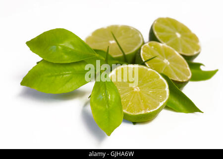 Limes Foto Stock