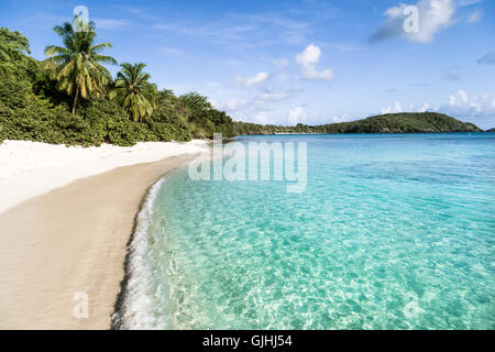 Caneel Hawksnest Beach, St John Island, Isole Vergini, Stati Uniti Foto Stock