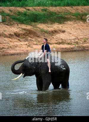 Uomo seduto su elefante in fiume, Thailandia Foto Stock