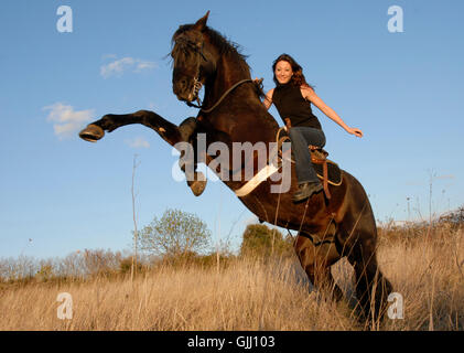 Donna cavallo stallone Foto Stock