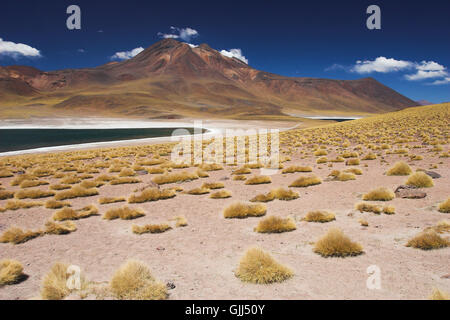 Atacama Foto Stock