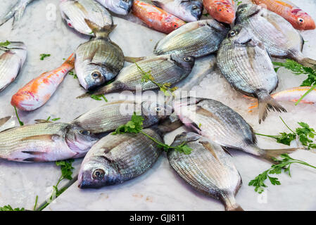 Pesce fresco in vendita in un mercato di Palermo, Sicilia Foto Stock