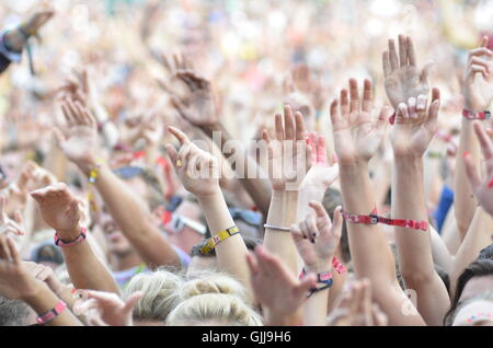 Gli appassionati di musica agitando le mani in aria a un festival di musica Foto Stock