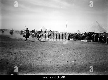 Nozze beduino montato di serie beduini Racing da Matson raccolta, ca. 1900 1920 (LOC) Foto Stock