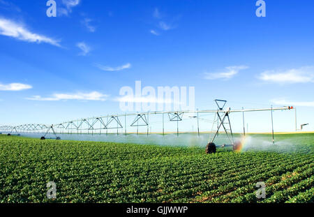 Agricoltura Agricoltura automatico Foto Stock