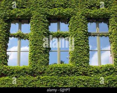 Costruzione casa verde Foto Stock