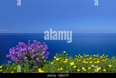 Costa dei Fiori di Lipari Foto Stock